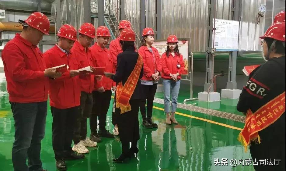 绿波双数找特码,手拿葫芦也是八打一个生肖请全面2释义、解释与落实、时代解答解释落实