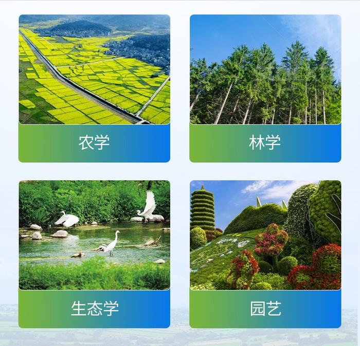 三五结合秋意浓是什么生肖,警惕虚假宣传、全面解答、构建解答解释落实