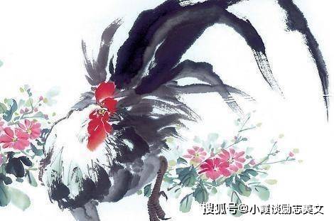 安排士马夸奇才，笑问客从何处来打一个准确生肖详细解答、精准解答解释落实