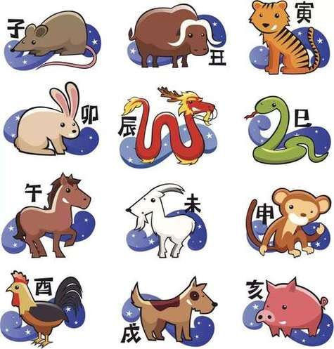 眼花绦乱色彩艳,九死一生后有福是什么生肖精选解析、解释与落实、科学解答解释落实