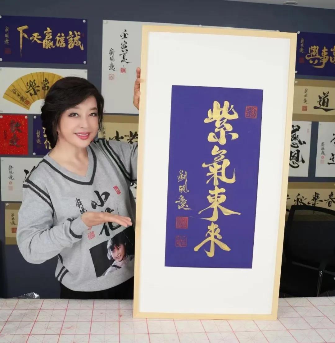 平步青云打一个生肖，详细解答、统计解答解释落实