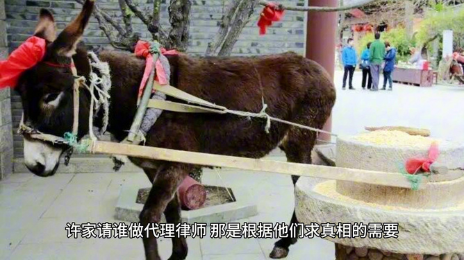 卸磨杀驴打一正确生肖、警惕虚假宣传-全面释义、实时解答解释落实
