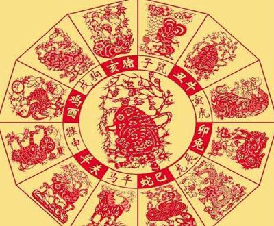 眼花绦乱色彩艳,九死一生后有福是什么生肖精选解析、解释与落实、科学解答解释落实