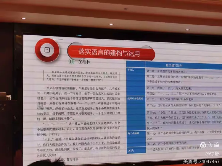 青山绿水好风光,有情之人不孤单猜一生肖，详细解答、综合解答解释落实