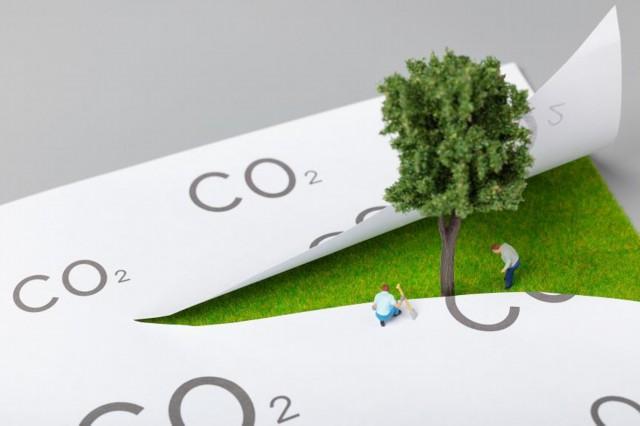 快快活活打一准确生肖精选解析、解释与落实、实证解答解释落实