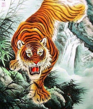 面不红气不喘游刃有余靠苦练是什么生肖全面释义、深度解答解释落实