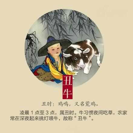 虎落平原被犬欺，古人流传有道理打一个准确生肖的全面释义、解释与落实、时代解答解释落实