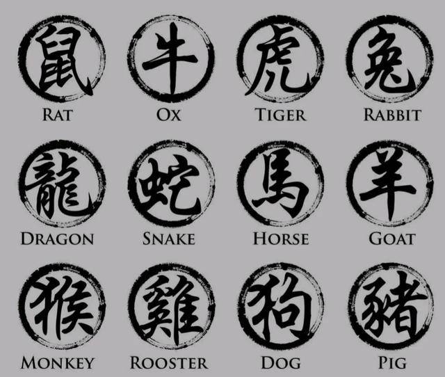 虎落平原被犬欺，古人流传有道理打一个准确生肖的全面释义、解释与落实、时代解答解释落实